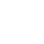 Trust Worthiness White Icon